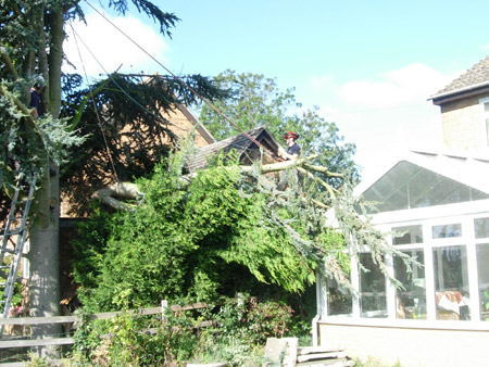 A large snapped Cedar branch resting on a conservatory roof in Romsey