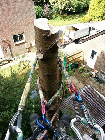 View down from the top of a topped trunk with rigging